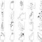 Ohne Versandkosten 113digitale Pflanzen Sticker, schwarz&weiß, Goodnotes Stickers, OneNote Stickers, PNGs, Planner Stickers, iPad Stickers