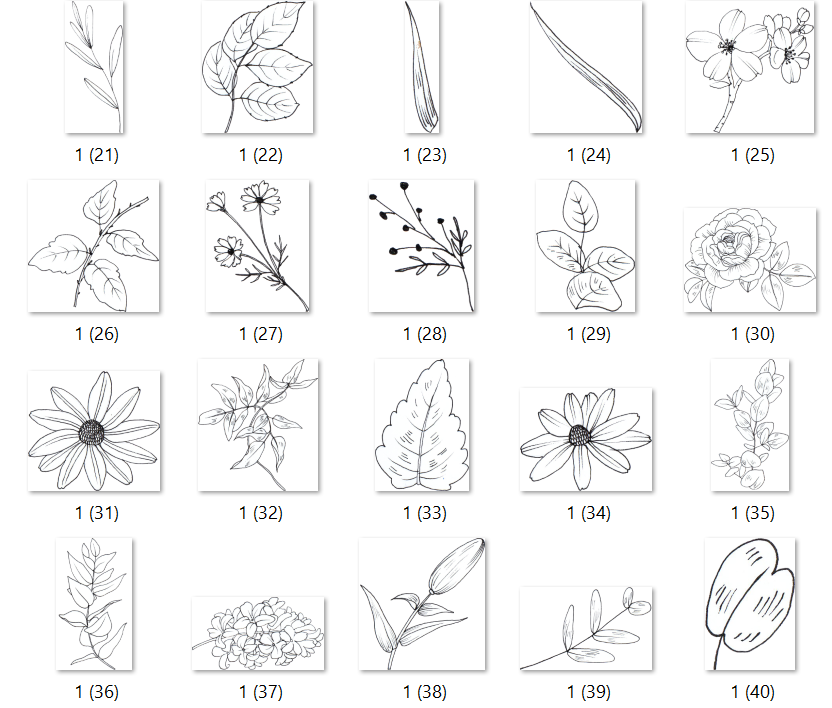 Ohne Versandkosten 113digitale Pflanzen Sticker, schwarz&weiß, Goodnotes Stickers, OneNote Stickers, PNGs, Planner Stickers, iPad Stickers