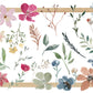 Digital Sticker,png, floral, Frühling, Canva,Goodnotes Sticker,Wildblumen 