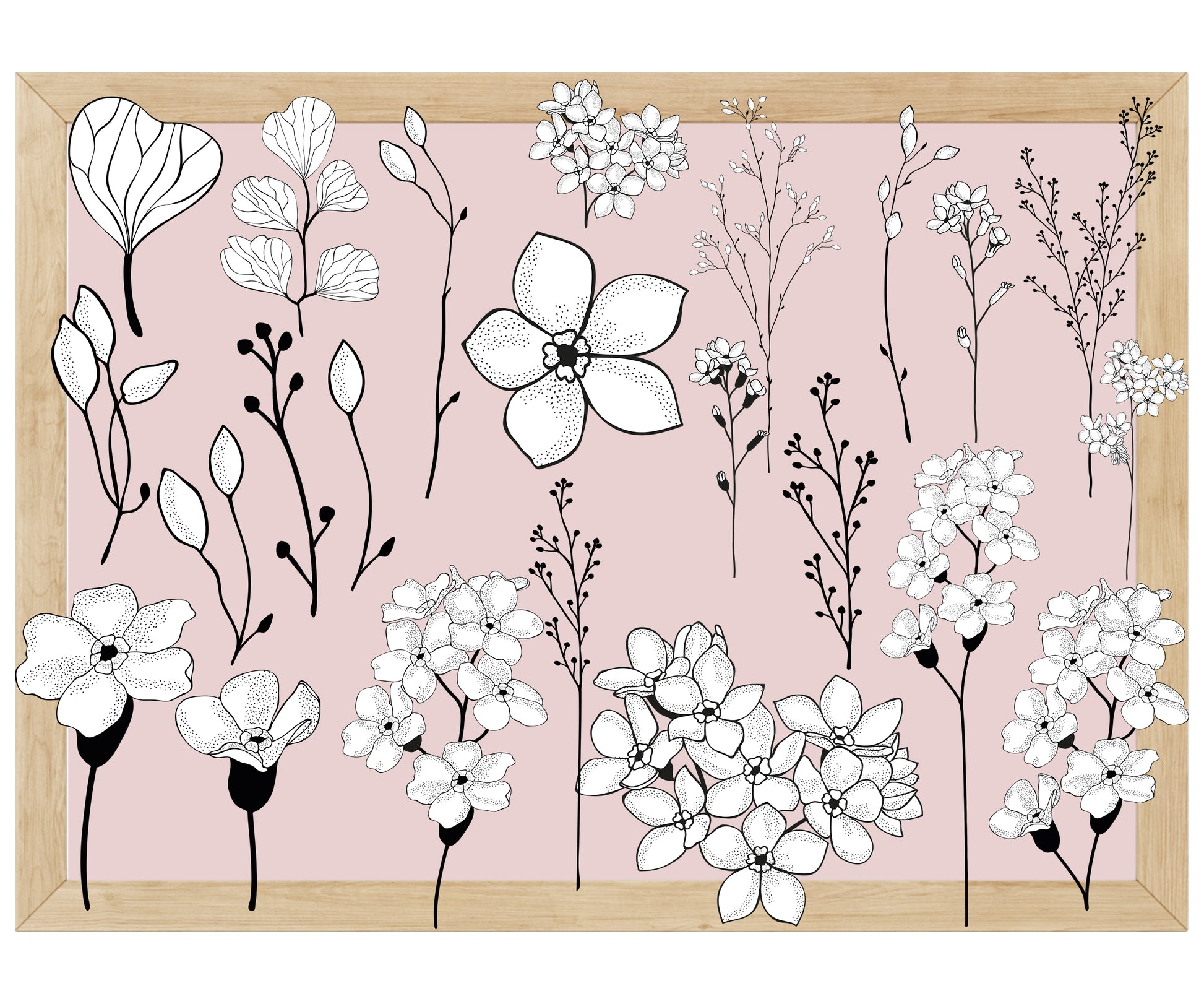 Digital Sticker,png, floral, Frühling, Canva,Goodnotes Sticker, schwarz weiß 