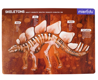 mierEdu Magnet Pad - Stegosaurus foerdert logisches Denke und Motorik und Konzentration, Ideal für Zuhause und als Reisespiel für Kinder