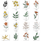 Ohne Versandkosten 80 digitale Pflanzen,zugeschnittene PNG-Datei, Goodnotes Stickers, OneNote Stickers, PNGs, Planner Stickers, iPad Stickers