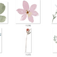 Ohne Versandkosten 24 Flowers zugeschnittene PNG Elemente, Goodnotes Stickers, OneNote Stickers, PNGs, Planner Stickers, iPad Stickers